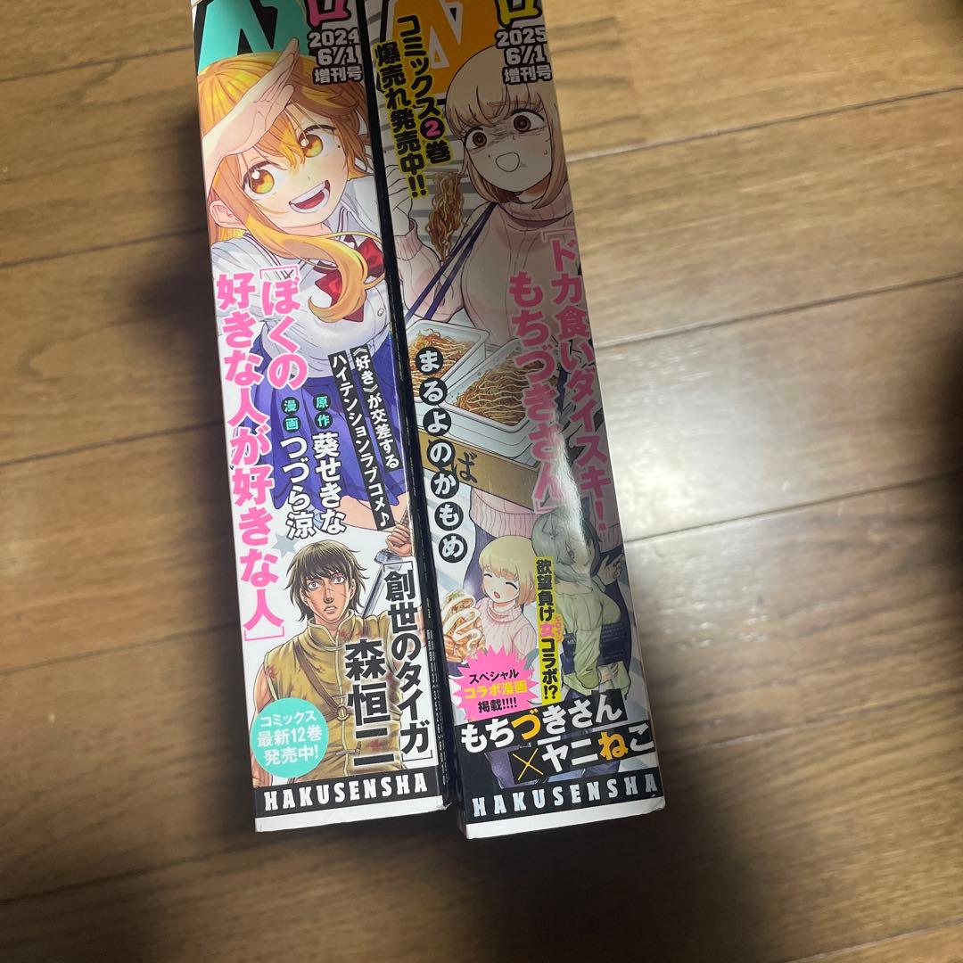 ヤングアニマルZERO ゼロ 2024年6月増刊他 ドカ食いダイスキもちづきさん