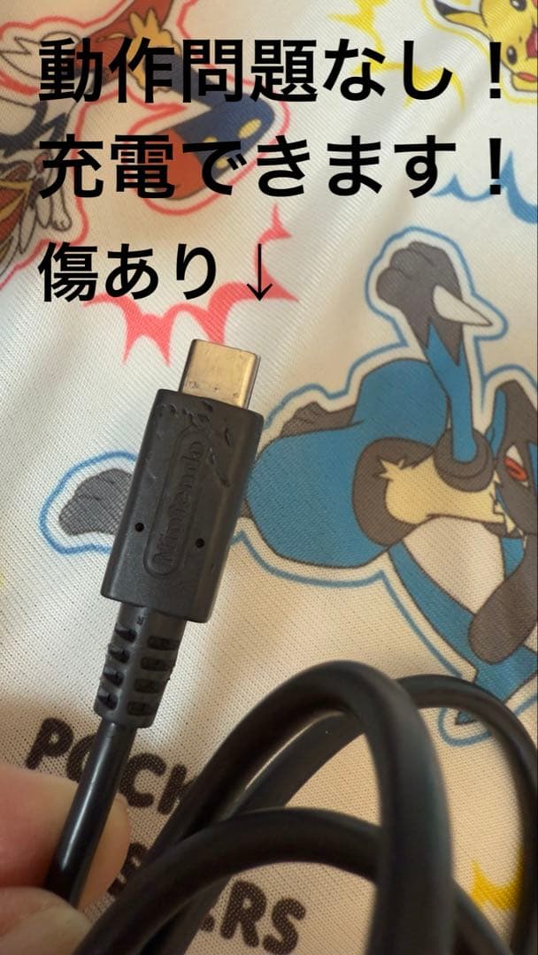 Nintendo Switch Lite 本体 ターコイズブルー ジャンク品