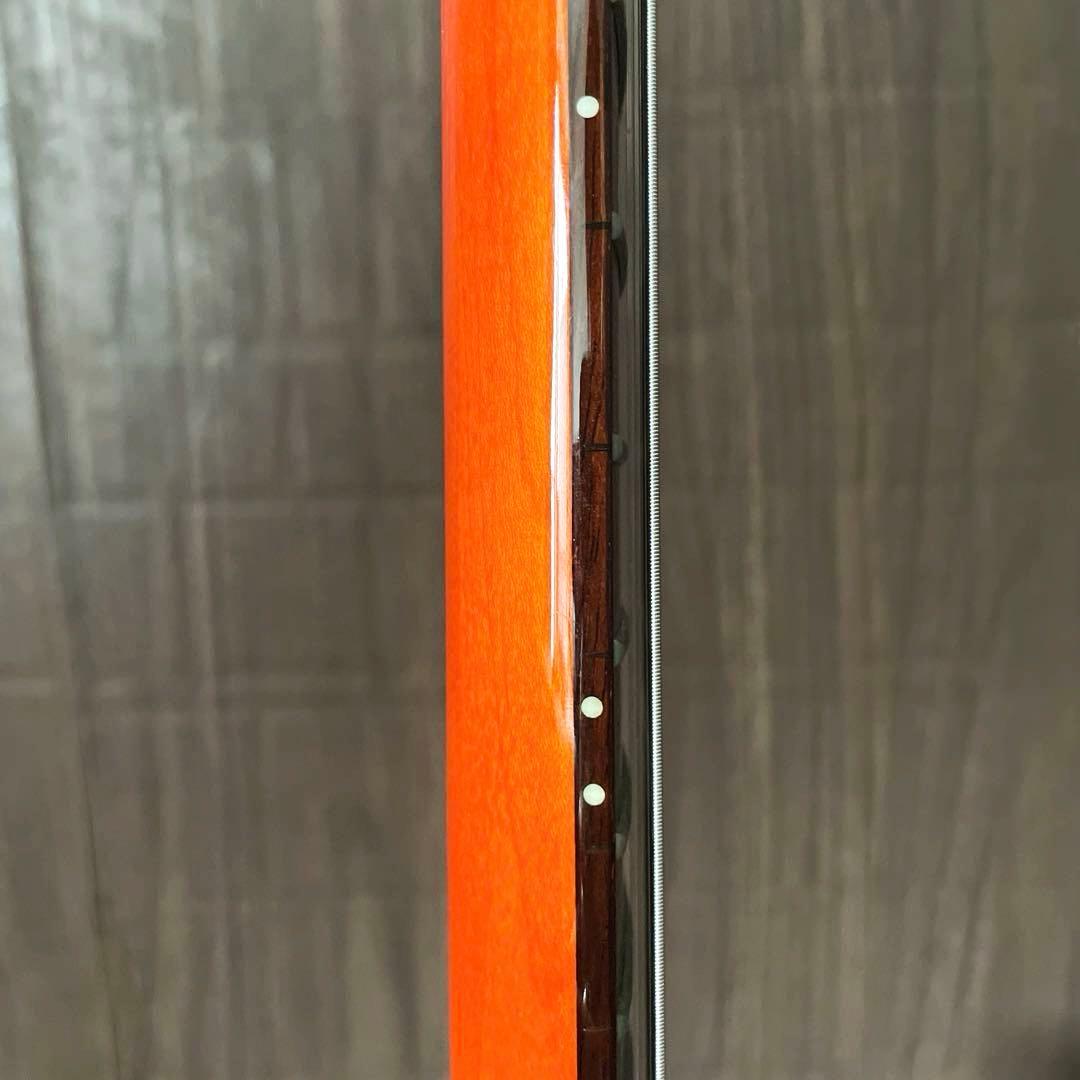 ギター Paul Reed Smith PRS SE CUSTOM 24