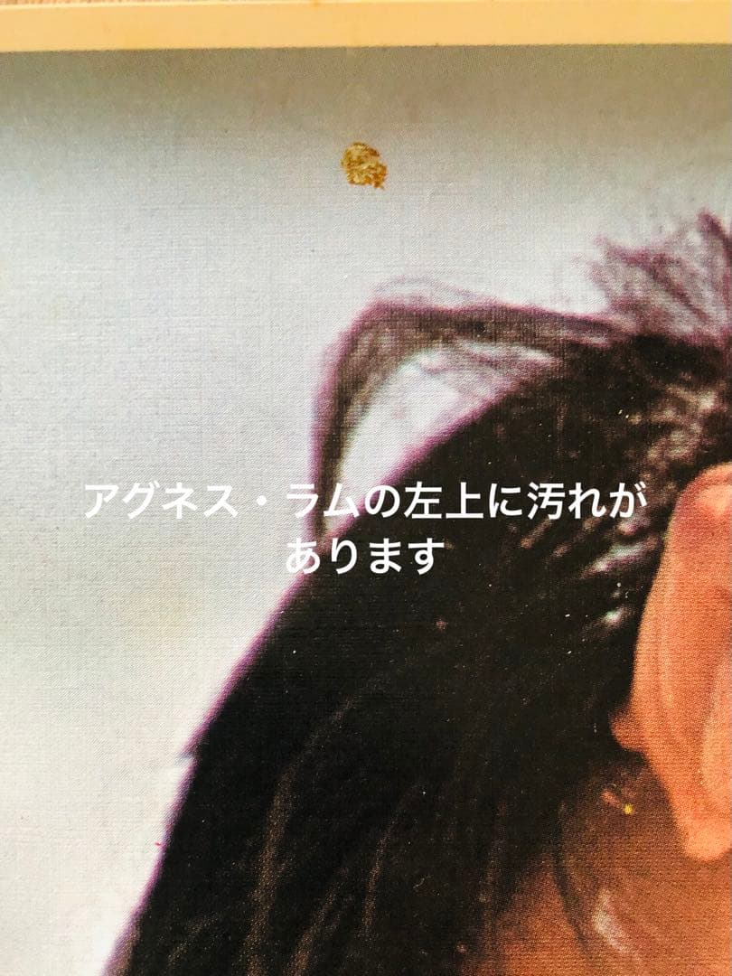 希少！妖艶美！アグネス・ラムポスター　ハワイの美女！1976年大ブレイクの女神