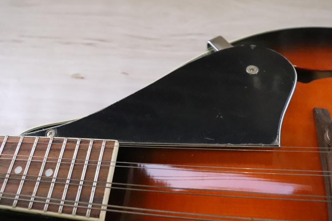 ■アリア マンドリン MANDOLIN ARIA AM-20 弦楽器