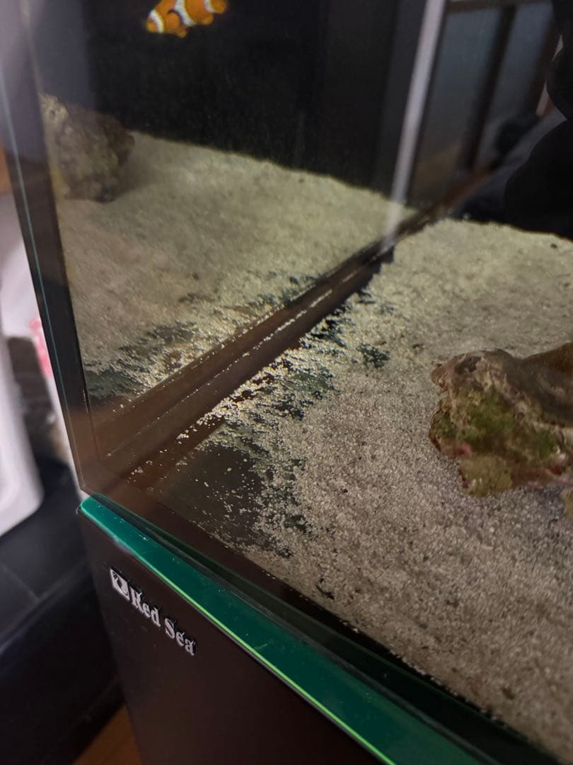 RedSea REEFER 350 海水魚飼育フルセット レッドシー 水槽