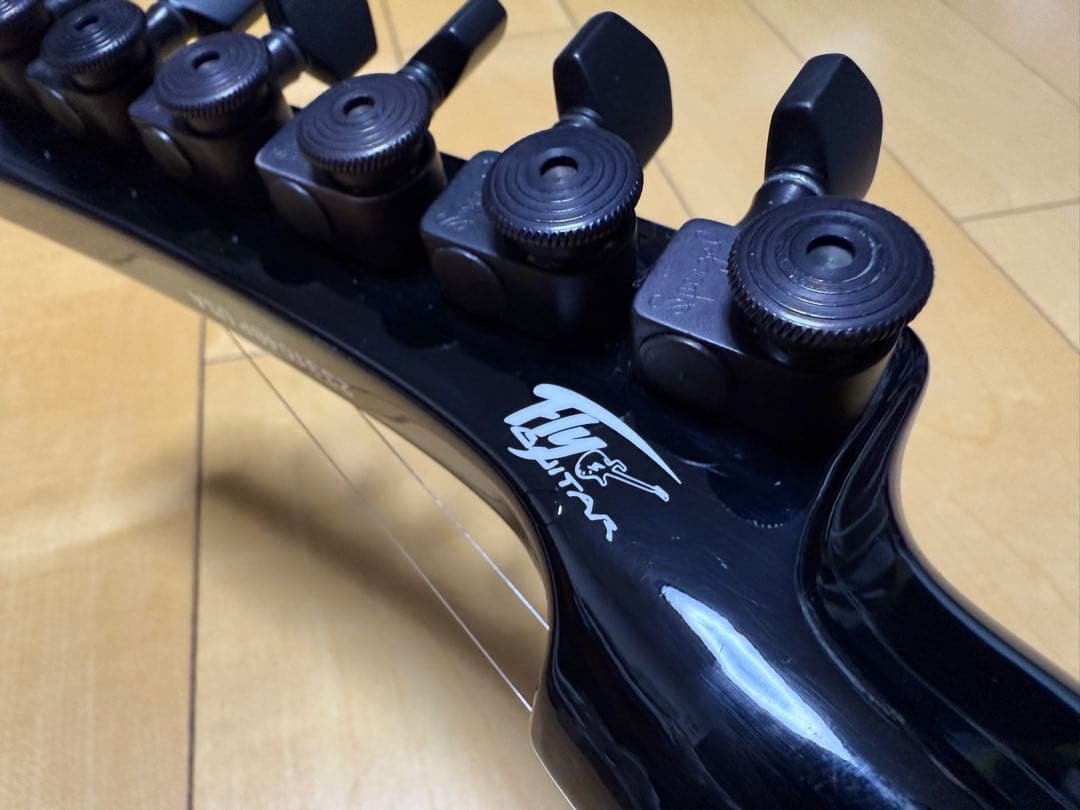 ギター Parker Fly Deluxe USA2004 DiMarzio/Piezo