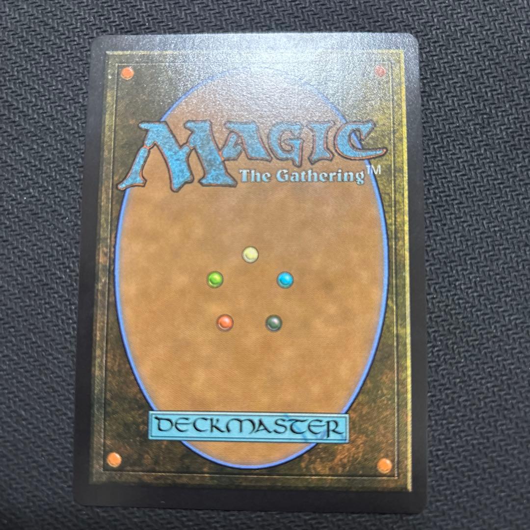 mtg 湿地の干潟 ドラゴンスケイルFoil