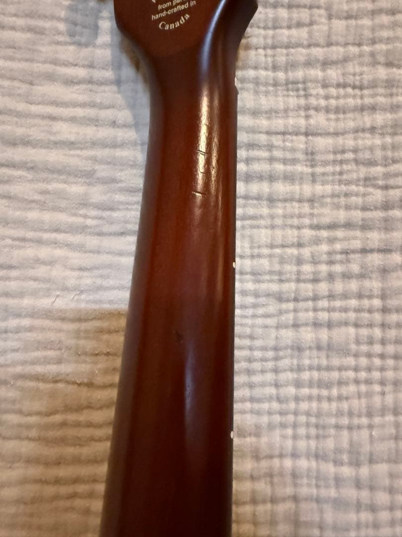 ギター Godin ACS Slim 10th Anniversary 100/100