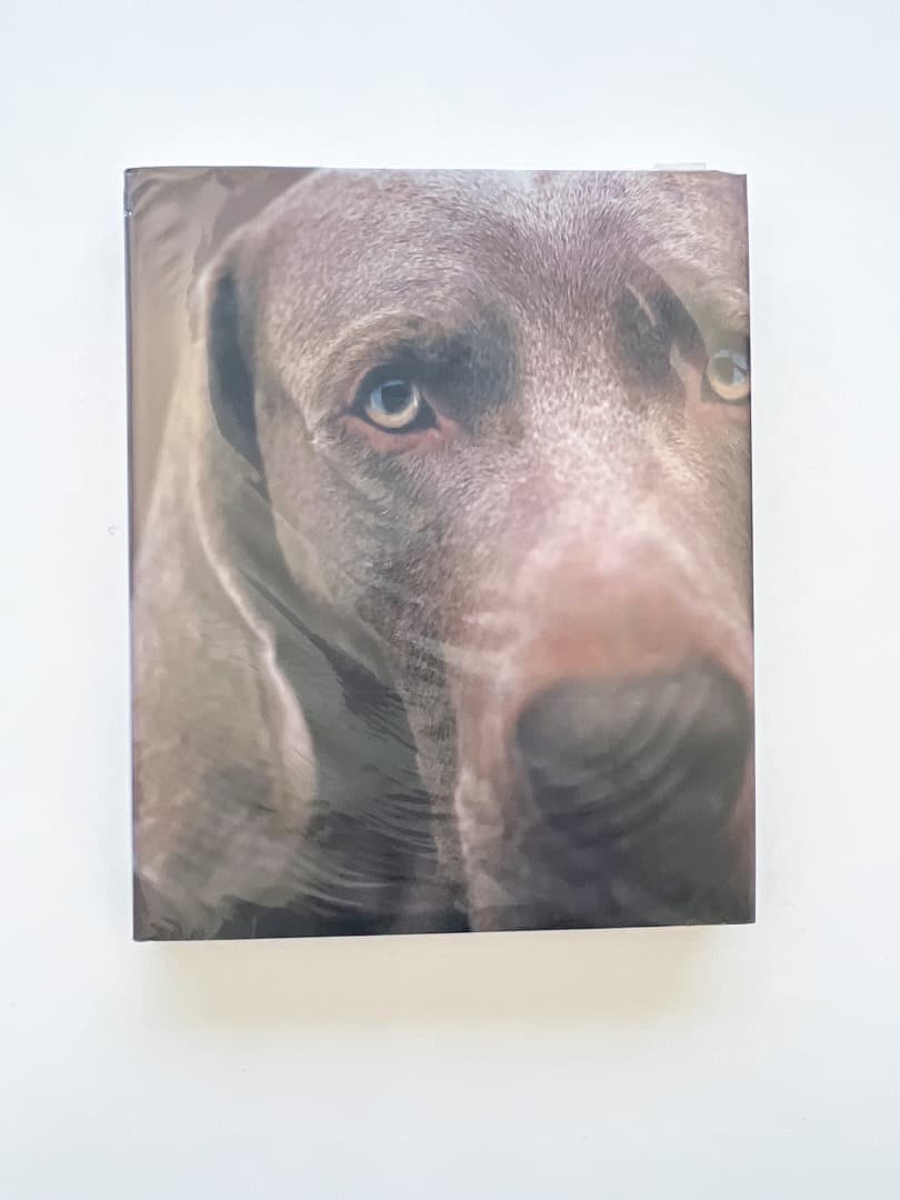 アート・デザイン・音楽 William Wegman \"Polaroids\"