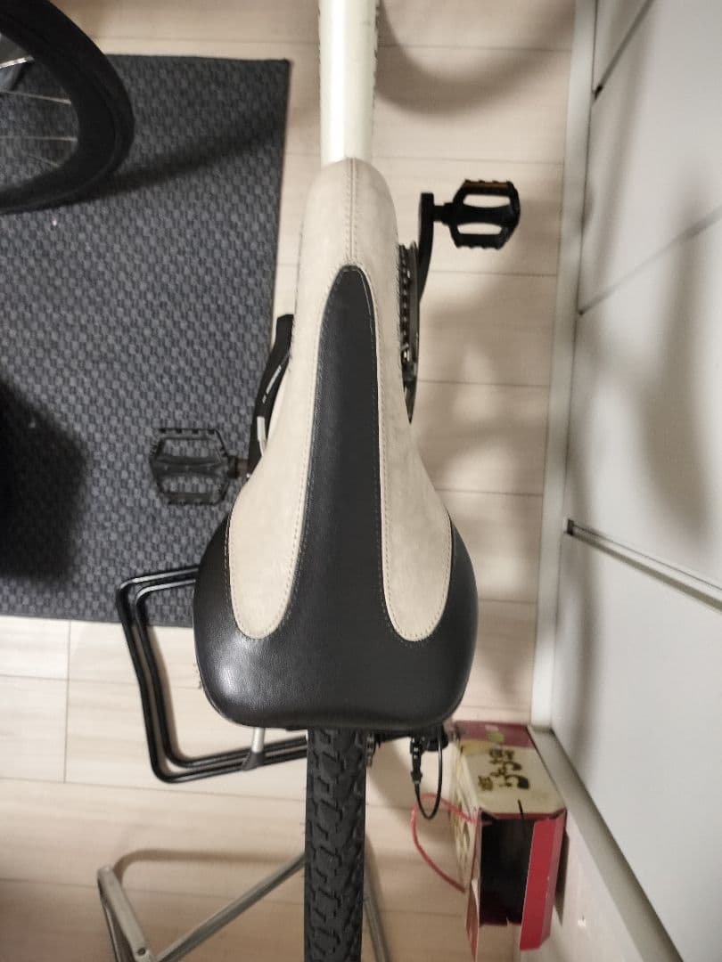 ルイガノ LOUIS GARNEAU J22 ジュニア バイク