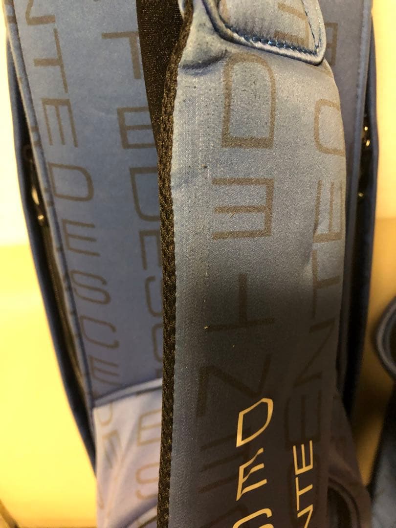 【送料込み】廃盤希少品　DESCENTE デサントゴルフ キャディバッグ　激レア