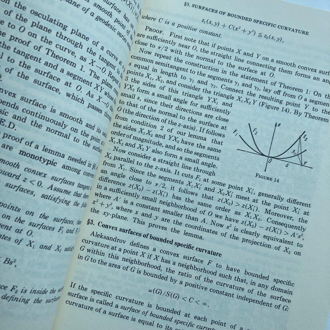 語学・辞書・学習参考書 Extrinsic Geometry of Convex Surfaces