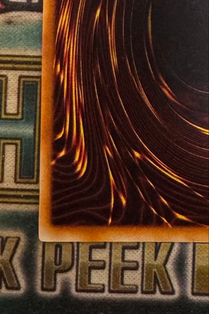 遊戯王　レッドアイズ・ブラックメタル・ドラゴン　初期　シークレット