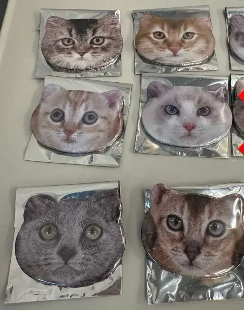 MOCHA にゃんず猫型缶バッジ　ららぽーと名古屋みなとアクルス店