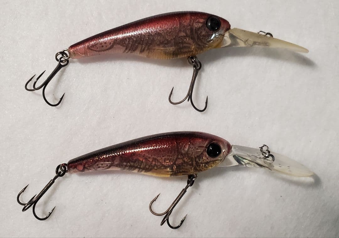 クオン　フローシャッド　セット