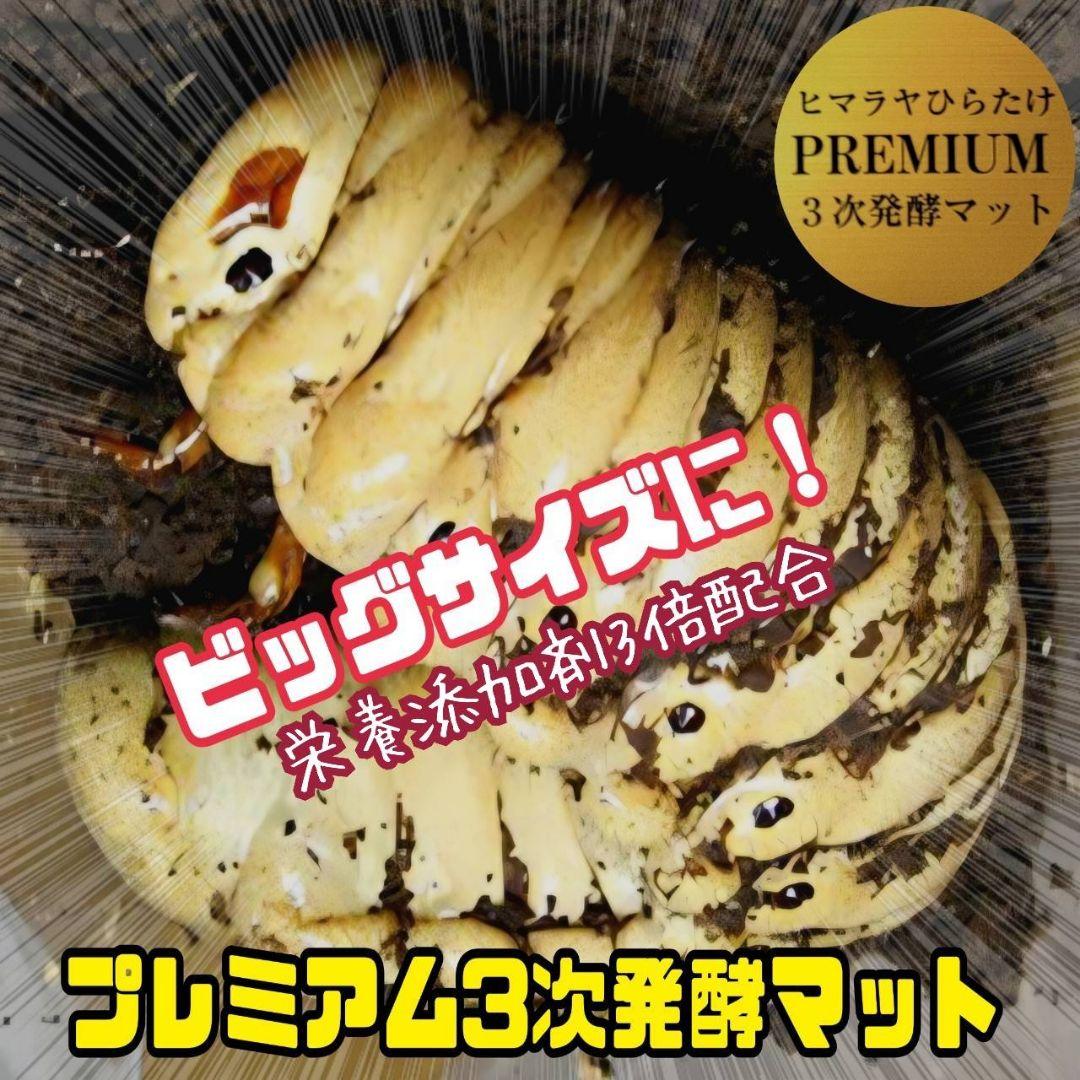 ヘラクレスが巨大化！プレミアム3次発酵カブトムシマット　60リットル　産卵にも！
