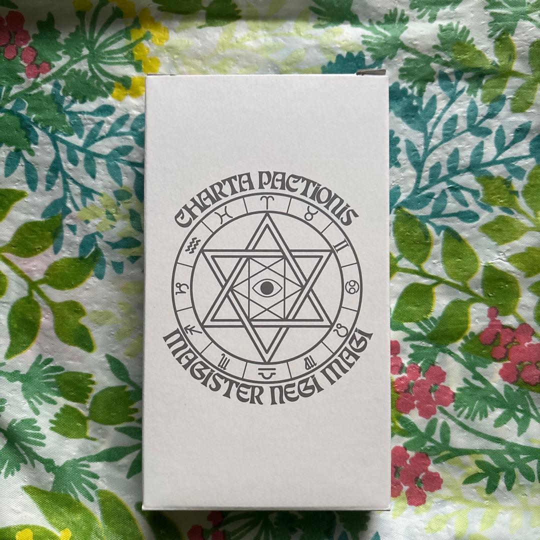 【旧版・絶版・特典未開封品】DVD付き初回限定版 魔法先生ネギま! 37