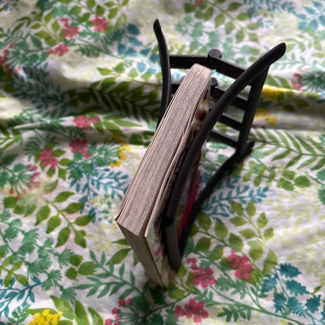 【旧版・絶版・特典未開封品】DVD付き初回限定版 魔法先生ネギま! 37