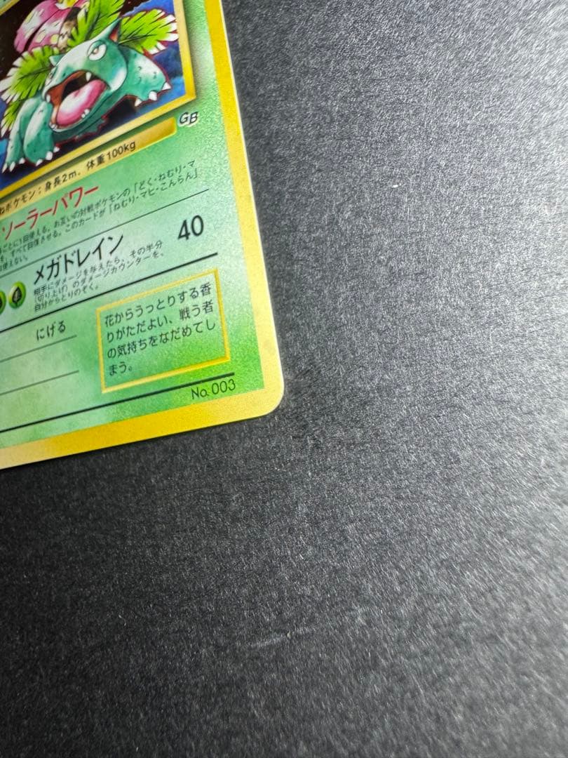 【ポケモンカード旧裏】GB フシギバナ カイリュー 2枚セット