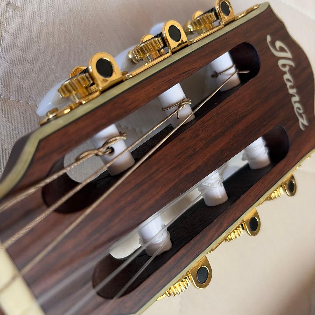 ギター ibanez TOD10N