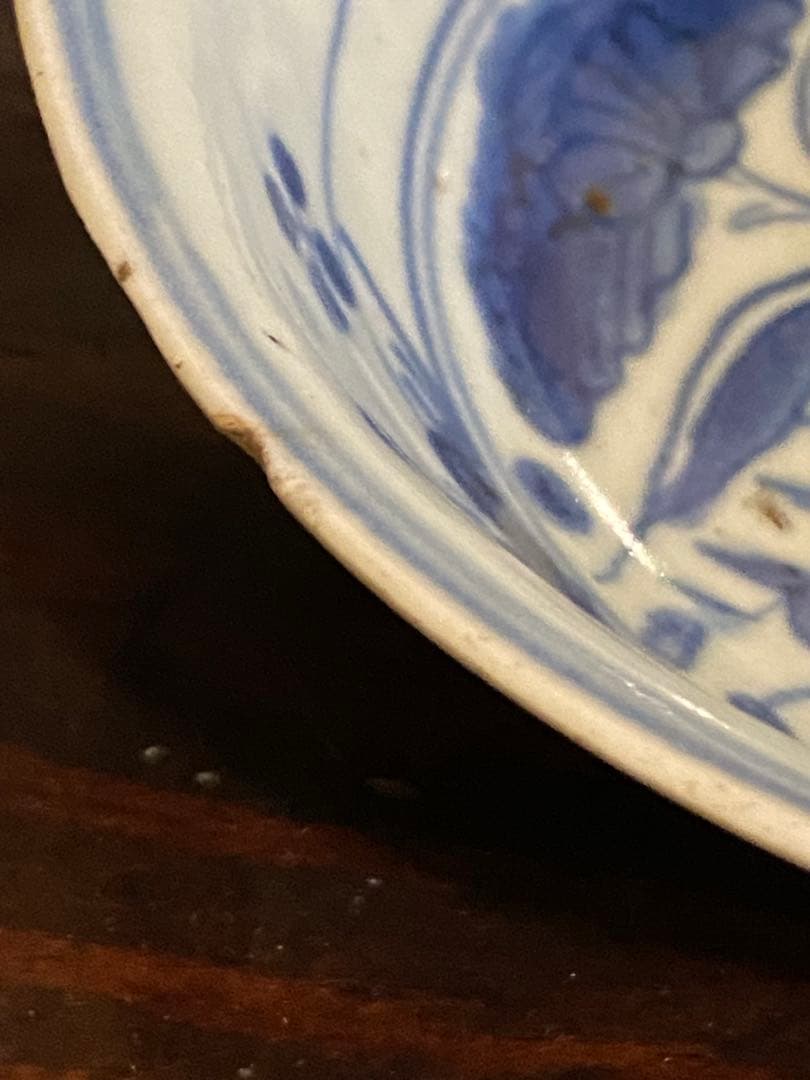 水草水禽文　古染付　平鉢