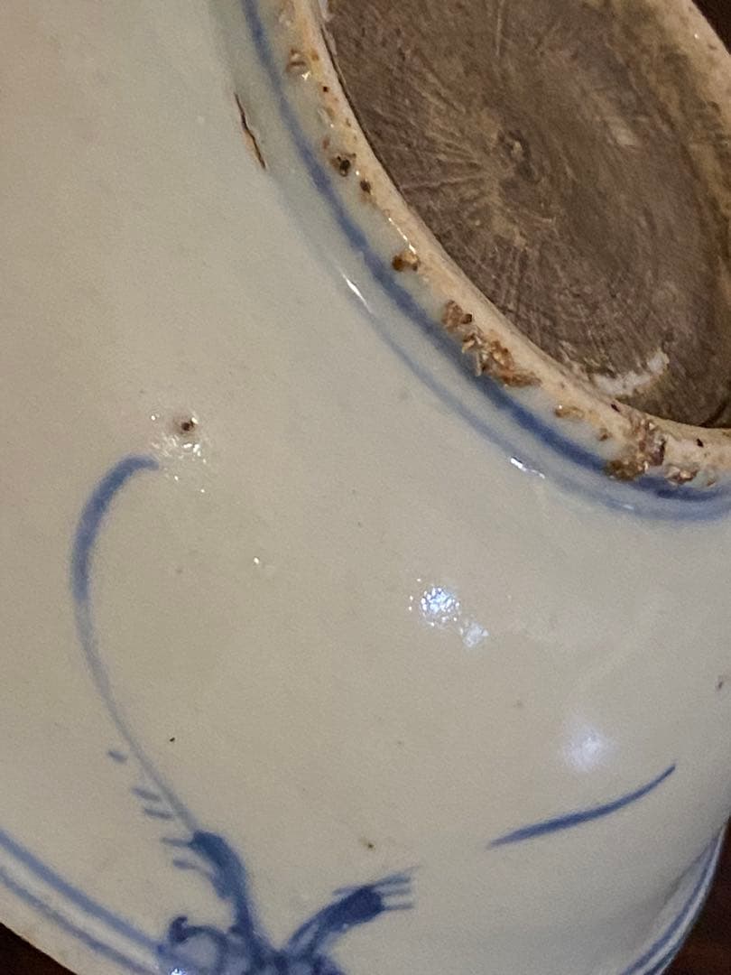 水草水禽文　古染付　平鉢