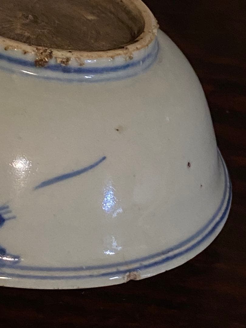 水草水禽文　古染付　平鉢