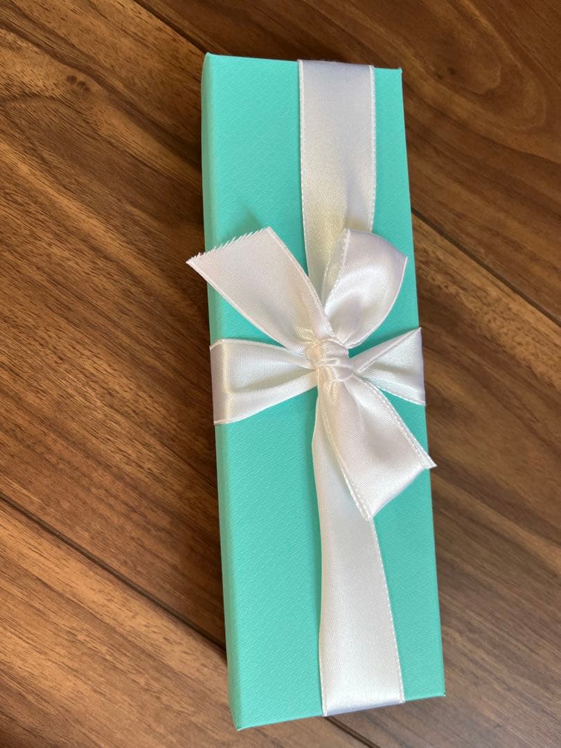 Tiffany & Co. シルバーボールペン