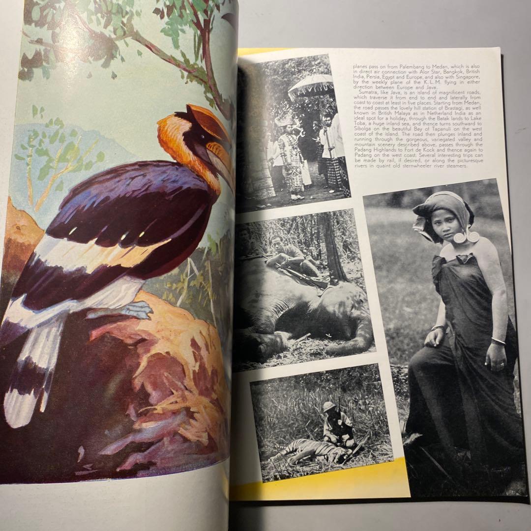 【ビンテージ】1933 The Netherland Indies豪華パンフ