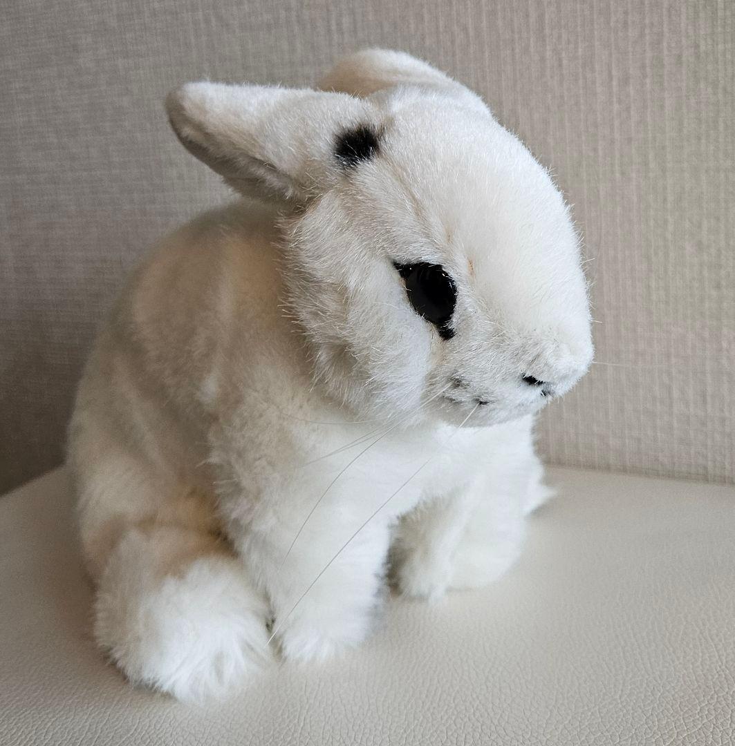 KÖSEN ウサギ　ケーセン　斑　34,500円