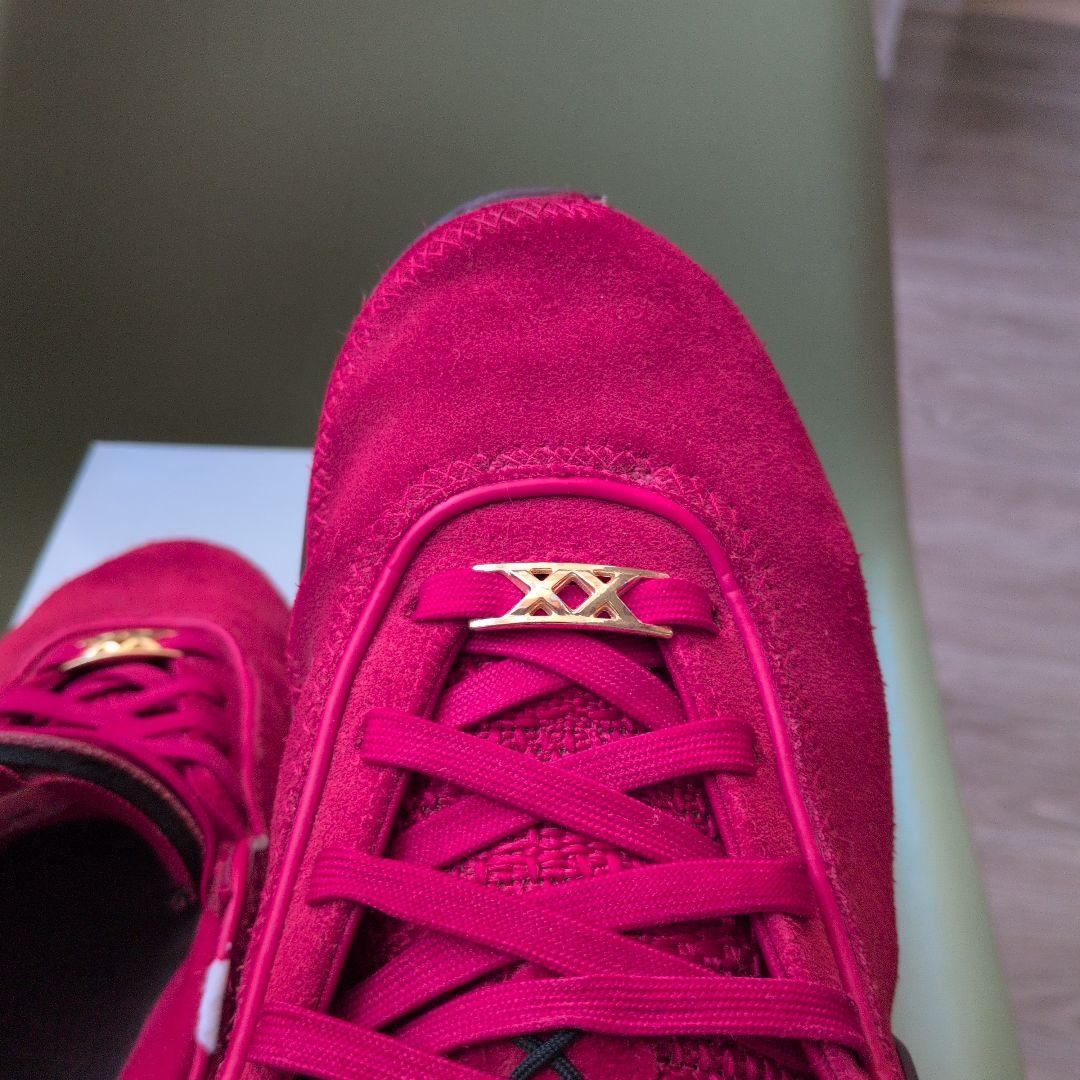 NIKE レブロン20リバプール 25cm