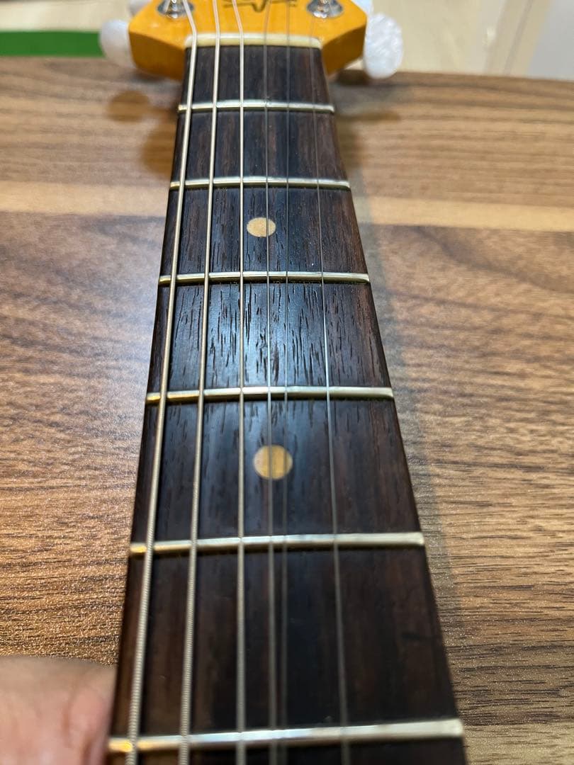 Sugi DS499 レリック仕様