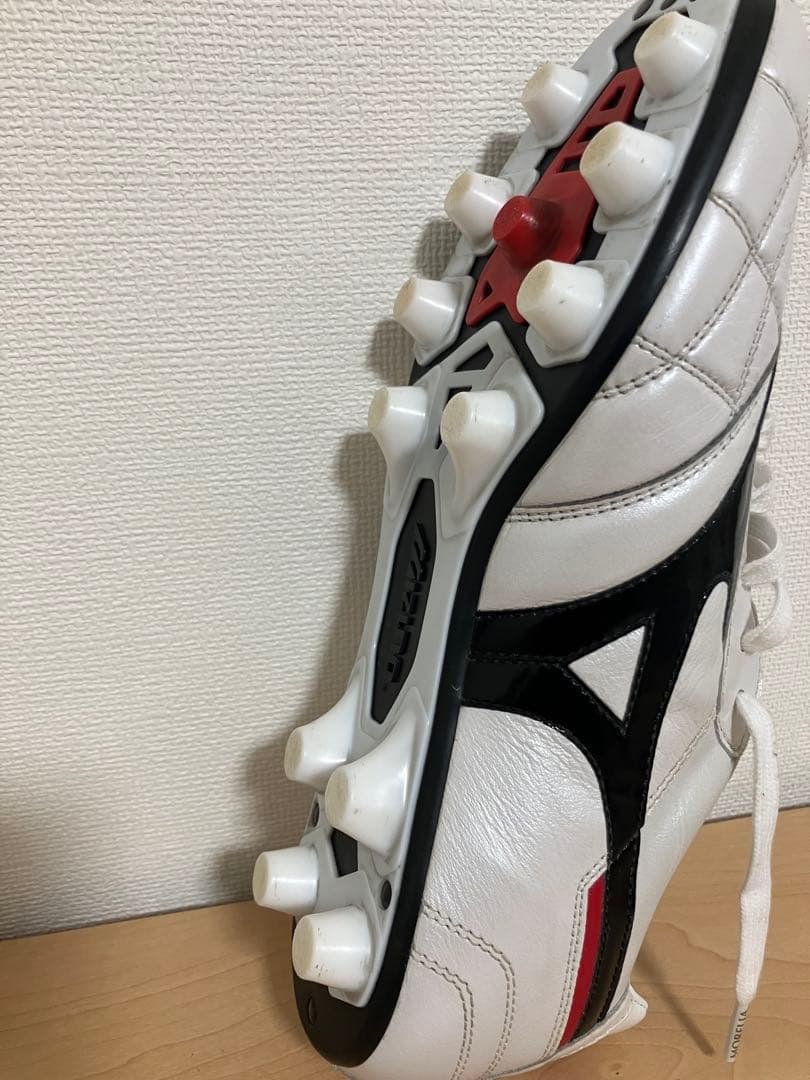 【モレリア2 JAPAN】クロスステッチ 25.5cm