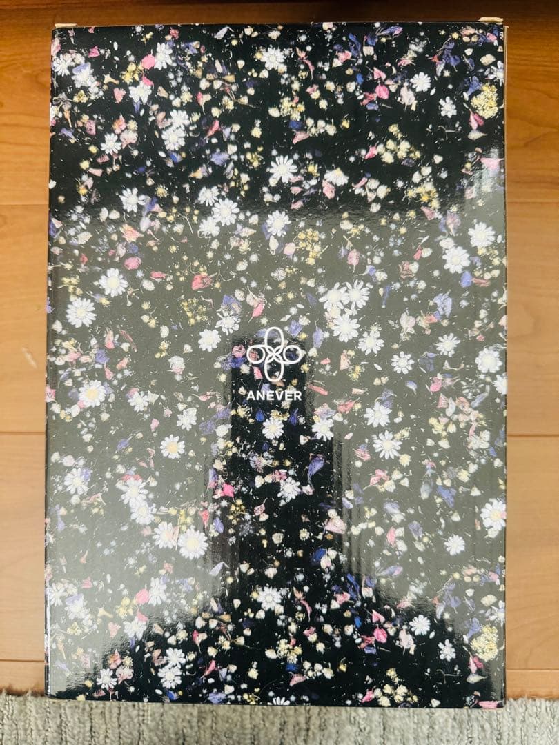 BE@RBRICK ANEVER BLACK 100％ & 400％