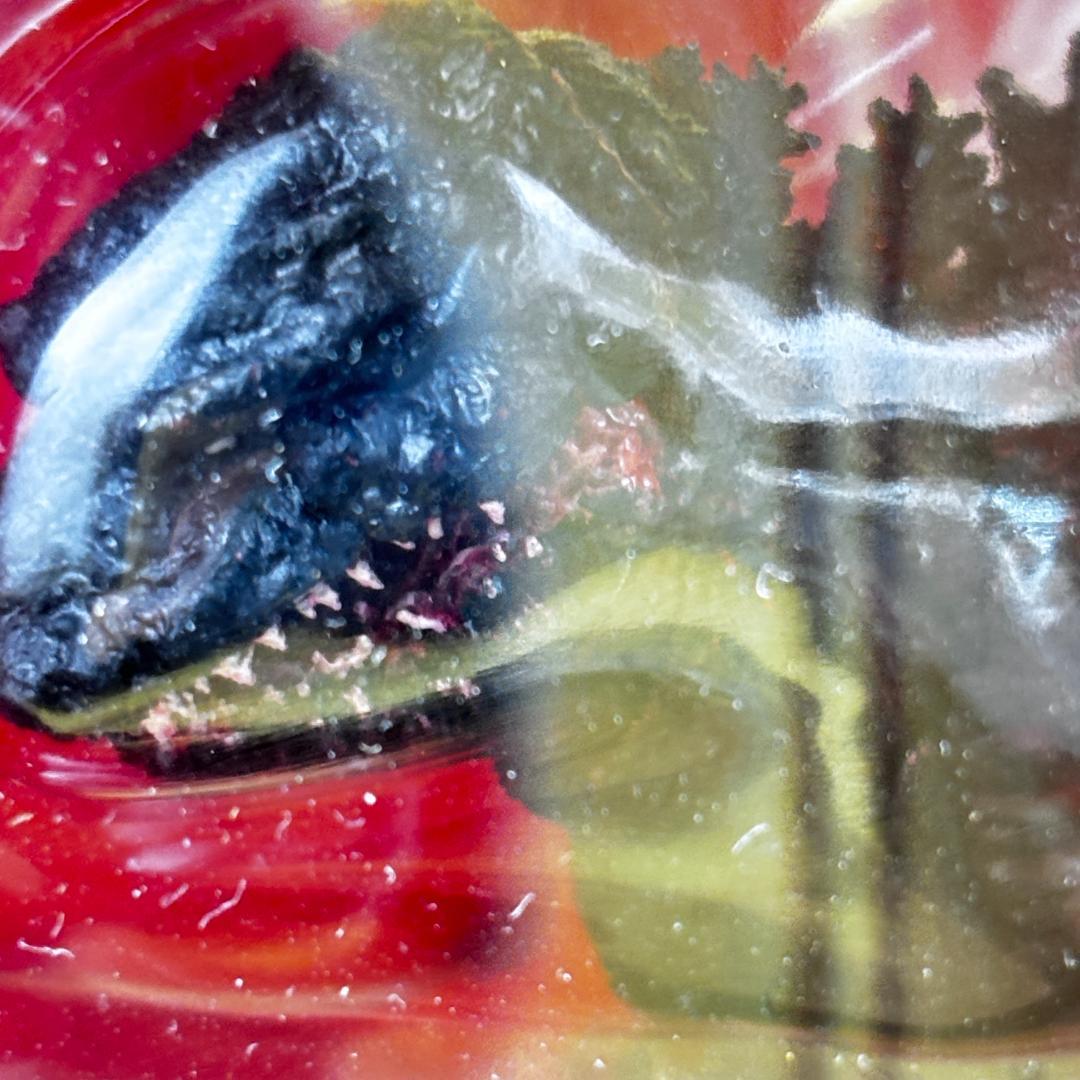 S.H.モンスターアーツ ゴジラ (2016)