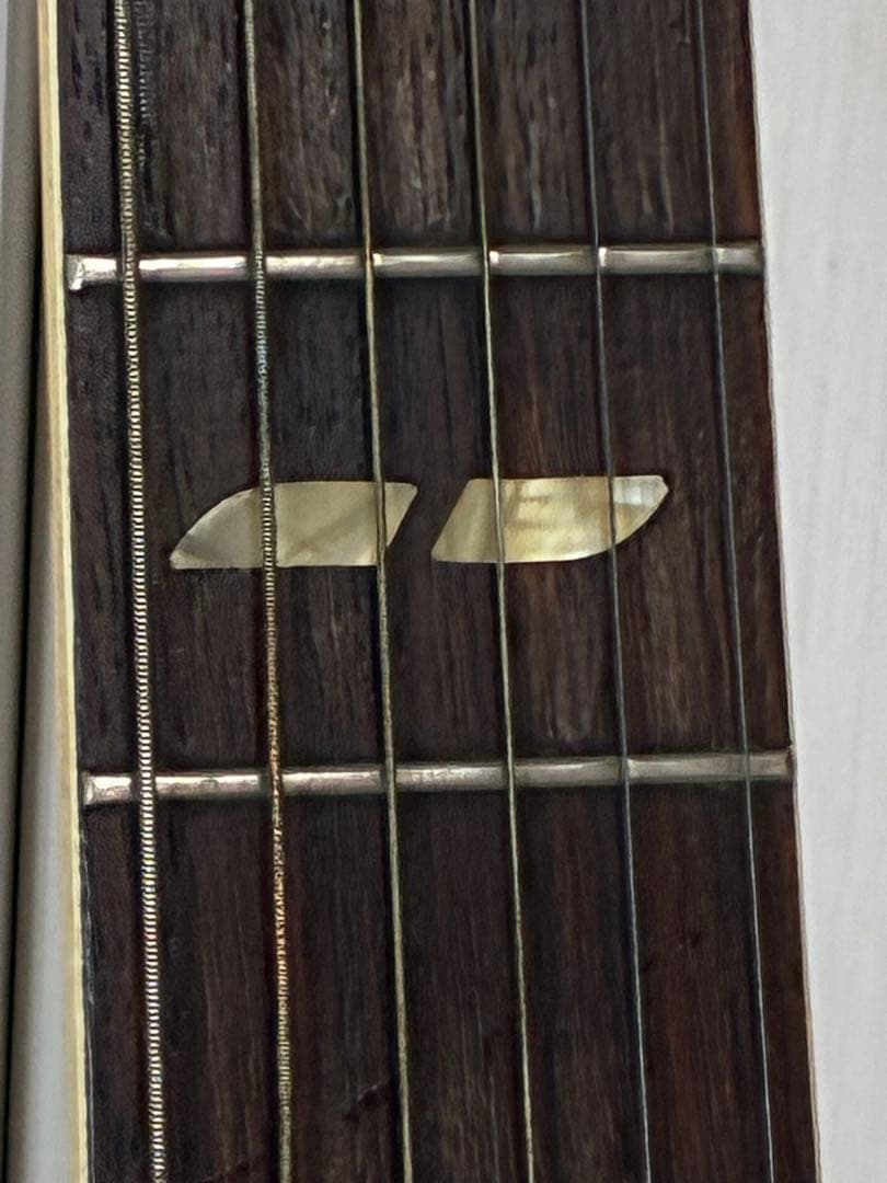 YAMAHA アコースティックギター FG350E【ハードケース付】