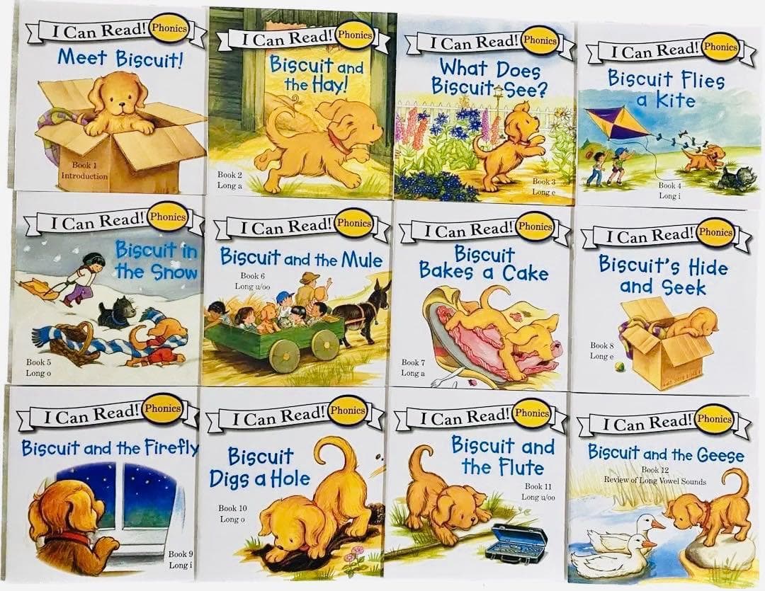 【32GBモデルMaiyaPen付お得セット】ORT ステージ1-2 DD含