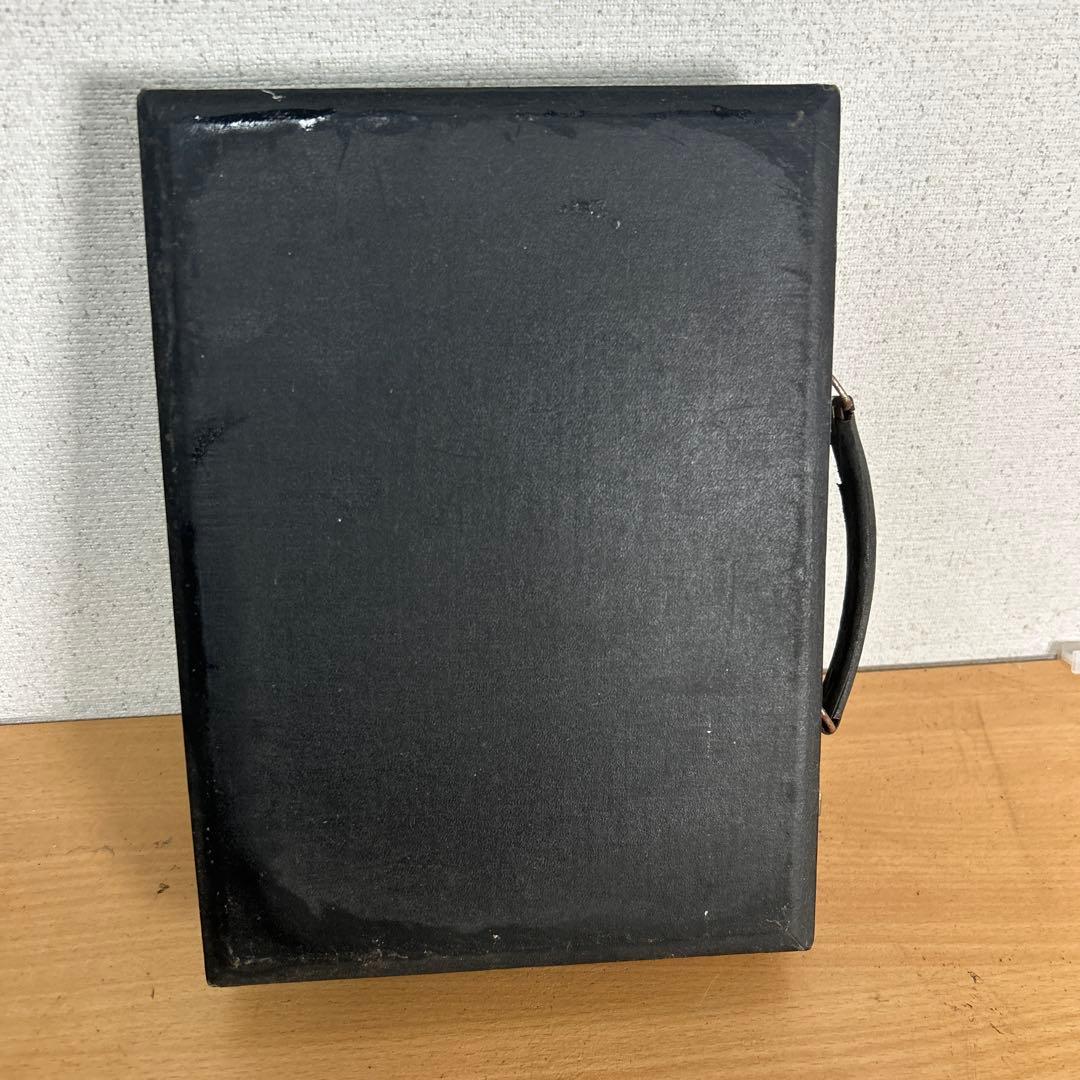 超レア　門脈系模型