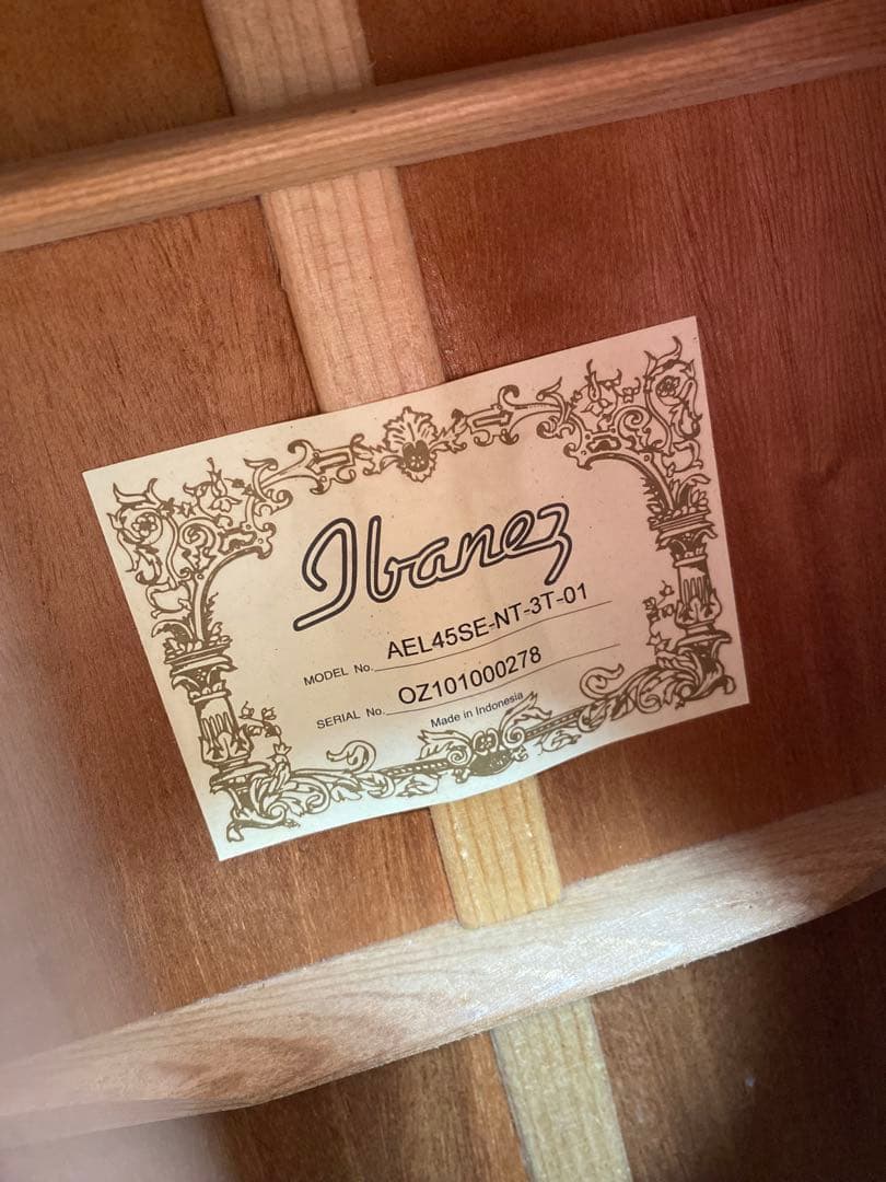 IBANEZ アコースティックギター