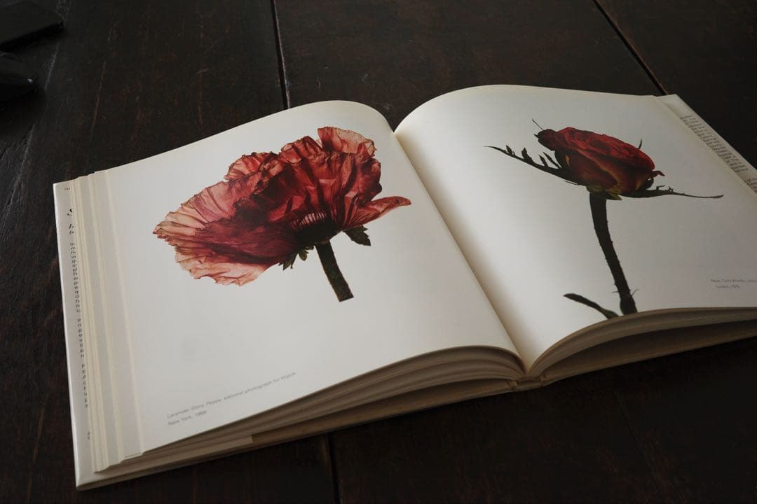 Still Life by Irving Penn アービングペン