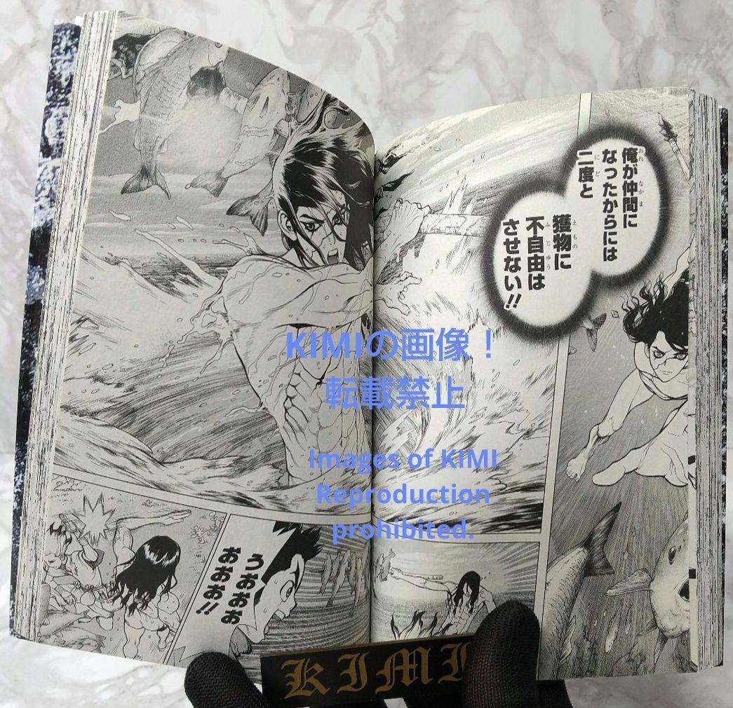 希少 初版 Dr.STONE 1 コミック 2017 Boichi,稲垣 理一郎