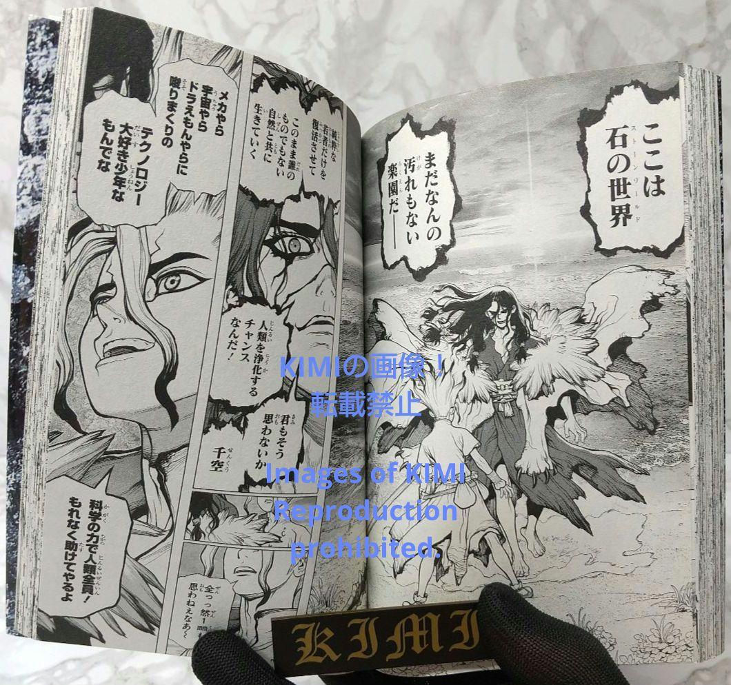 希少 初版 Dr.STONE 1 コミック 2017 Boichi,稲垣 理一郎