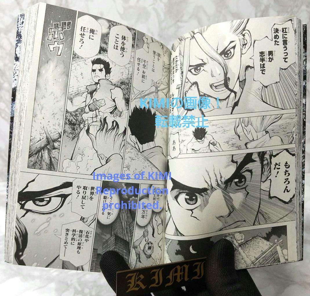 希少 初版 Dr.STONE 1 コミック 2017 Boichi,稲垣 理一郎