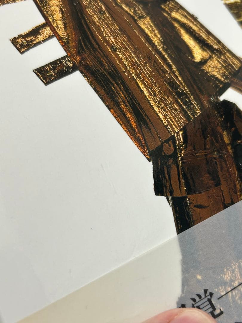 アーヴィング・ペン　三宅一生の仕事への視点