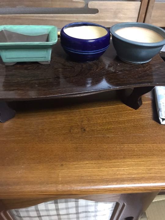 盆栽鉢美品ミニ盆栽鉢美豊光山他、緑長方鉢多肉植物サボテン山野草、名品展出品記念鉢