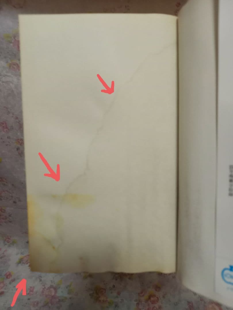 ワンピース【ONE PIECE】マンガ　1～81巻　+　その他関連本セット