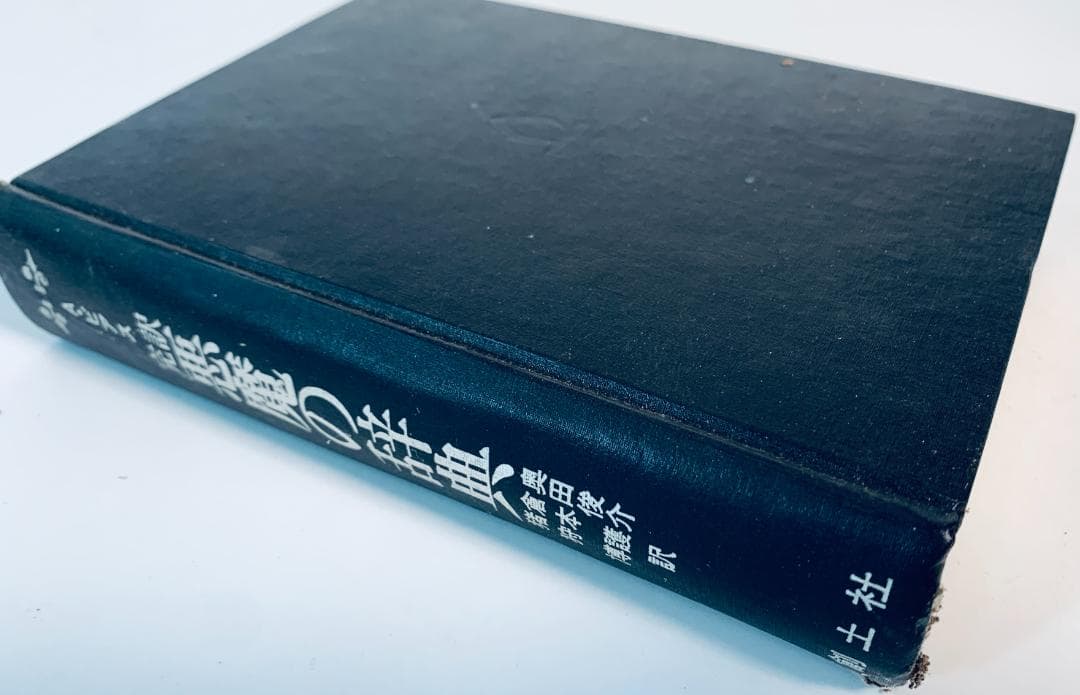 1973年、今から50年近く前の、超レア◆『悪魔の辞典』
