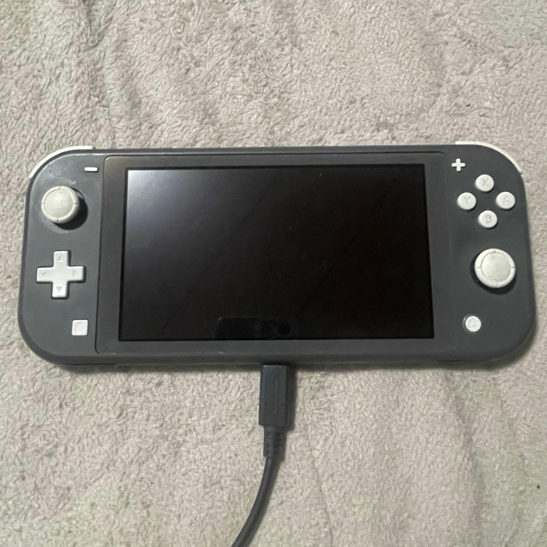 任天堂 Nintendo Switch Lite グレー