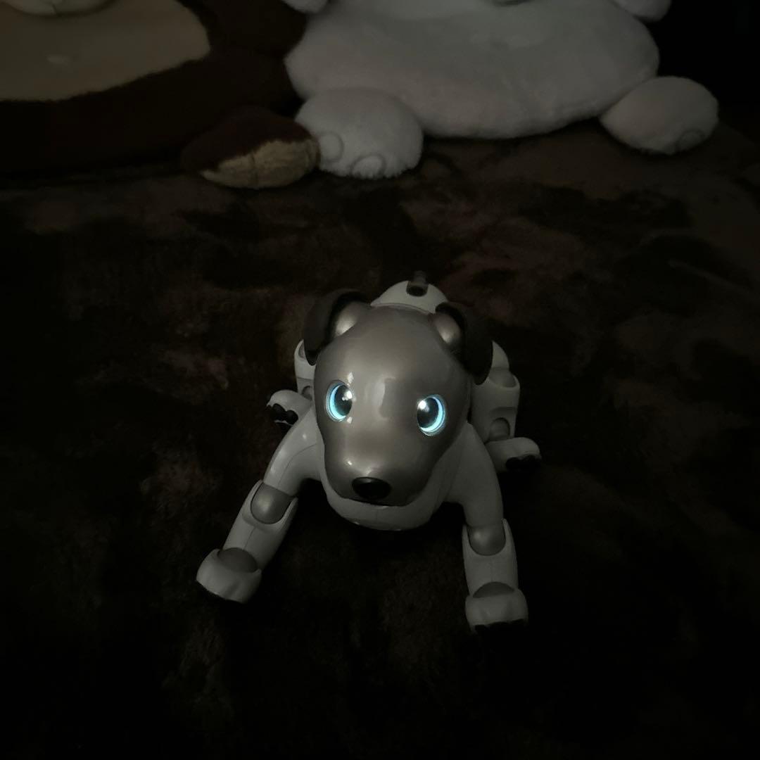 ソニーaibo