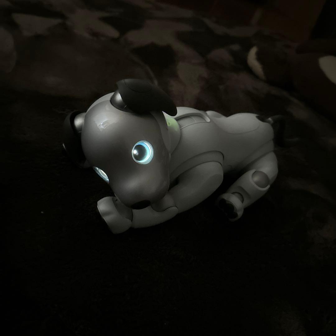 ソニーaibo
