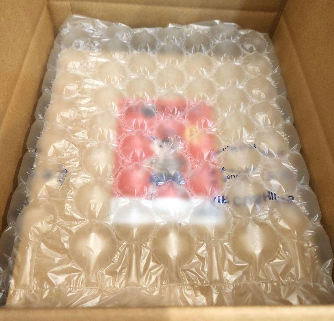 MOTHER2 ネス ソフビ ほぼ日