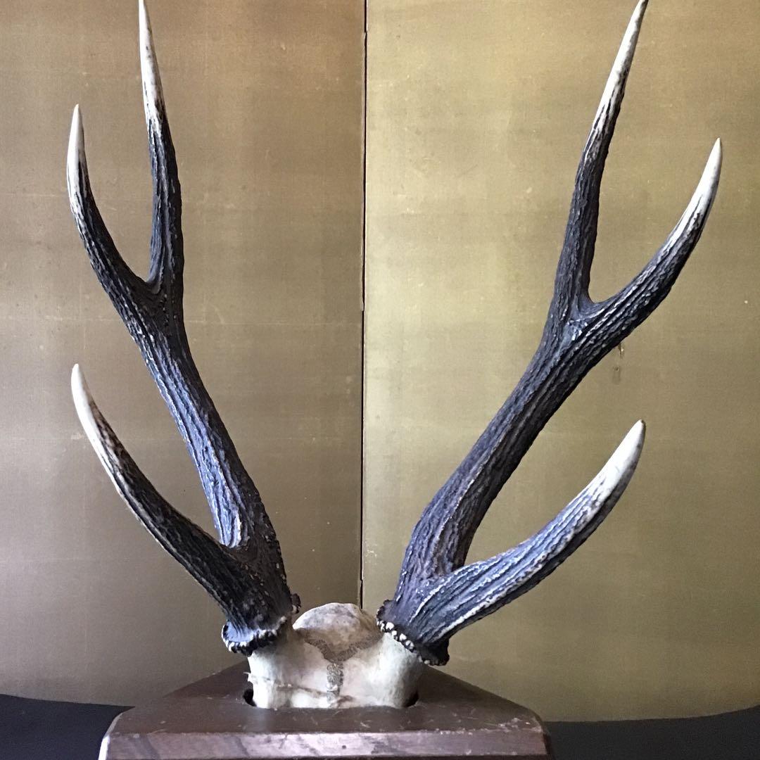 刀掛　日本本州鹿角製