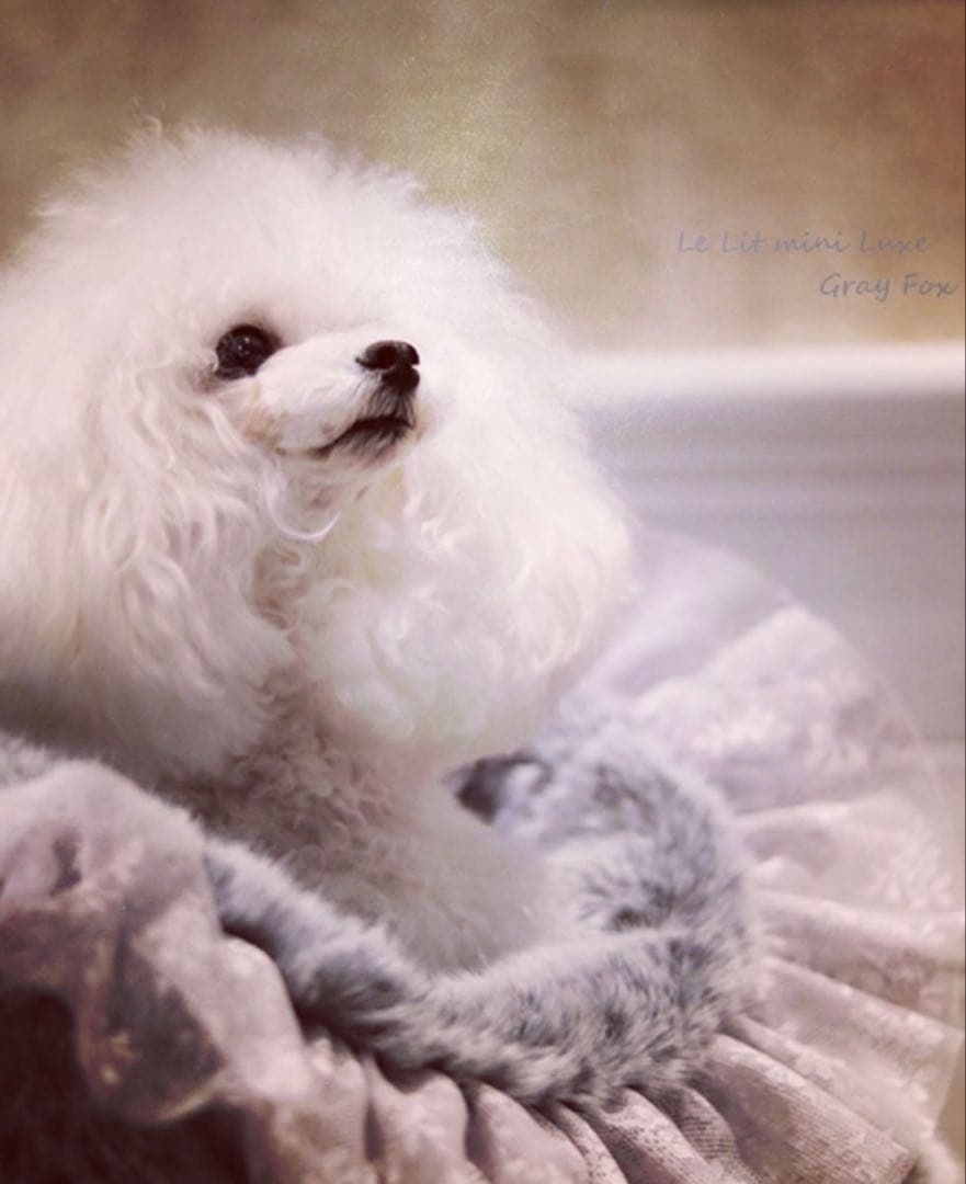 For dear D 高級エコファー　リレット